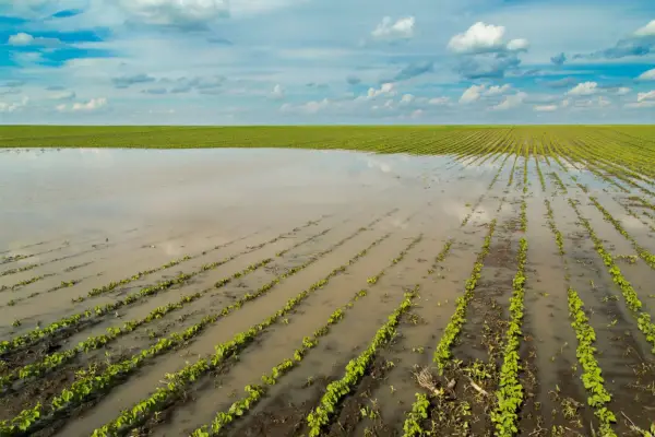 Las lluvias de febrero y marzo superaron el 60% de la expectativa anual