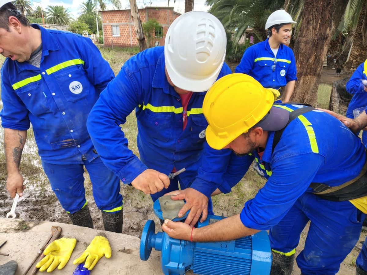 Tareas operativas.
