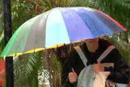 Temporal en Argentina: rigen alertas por lluvias, granizo y viento Zonda