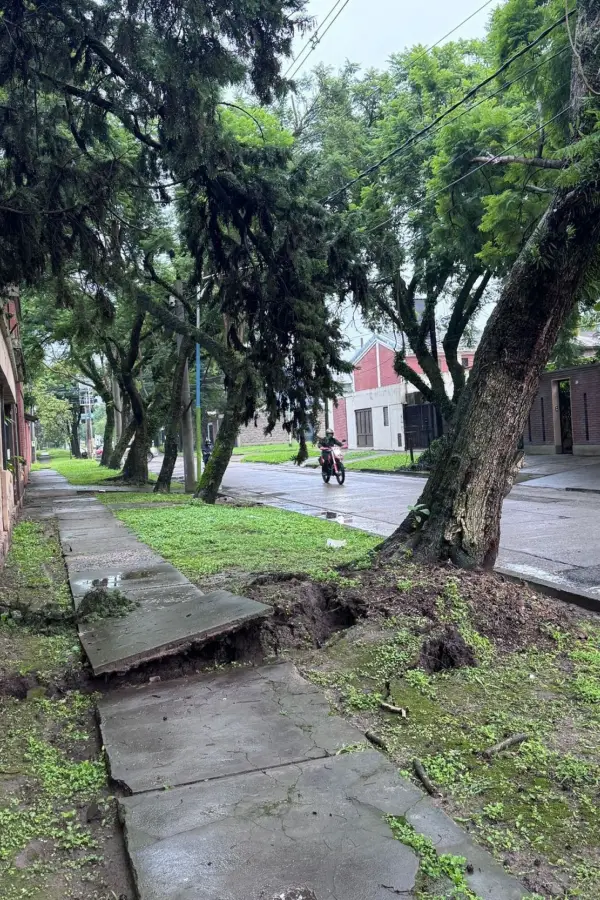 LA GACETA en WhatsApp: un trabajo sin terminar en San Martín al 1.400