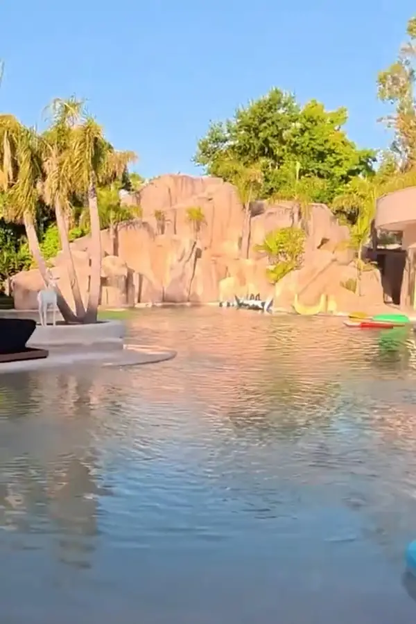 Pileta con cascada y una mini Bombonera: así es la lujosa mansión de Carlos Tevez