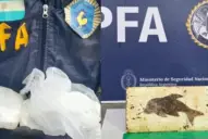 Cocaína con sello de delfín: así operaba la banda que abastecía a dealers en Santiago del Estero
