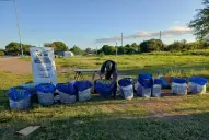 Interceptaron en Tucumán 222 kilos de hojas de coca enviados por encomienda hacia Buenos Aires