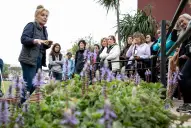 Yerba Buena tiene todo listo para la 5ª edición de la Diplomatura Gratuita en Jardinería y Paisajismo