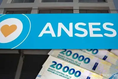 Anses: quiénes pueden cobrar el seguro de desempleo y cómo acceder paso a paso