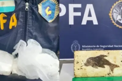 Cocaína con sello de delfín: así operaba la banda que abastecía a dealers en Santiago del Estero