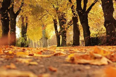 Equinoccio de marzo 2026: rituales energéticos para el otoño y el cambio de estación