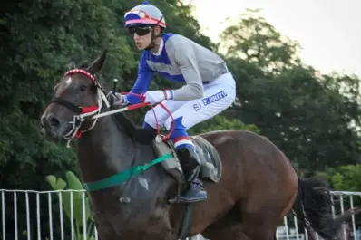 Turf: el especial del domingo promete ser emocionante