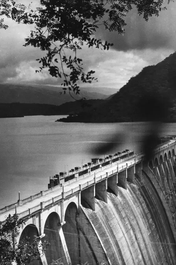 Recuerdos fotográficos: la colonia de murciélagos de Escaba