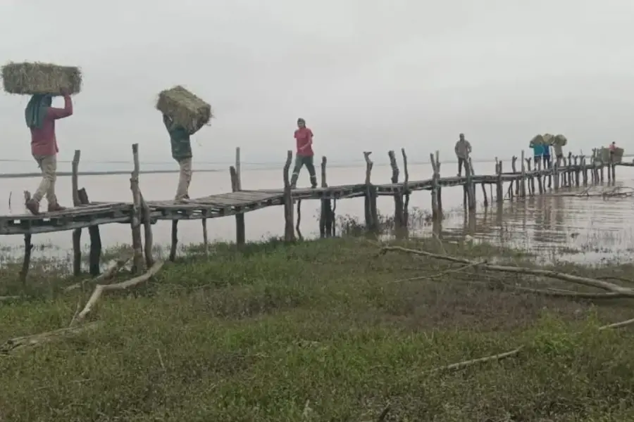 Refuerzan la entrega de alimentos y atención veterinaria en zonas afectadas por las tormentas