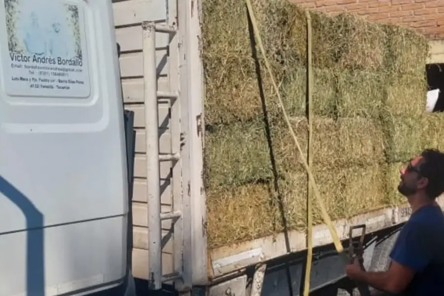 Refuerzan la entrega de alimentos y atención veterinaria en zonas afectadas por las tormentas