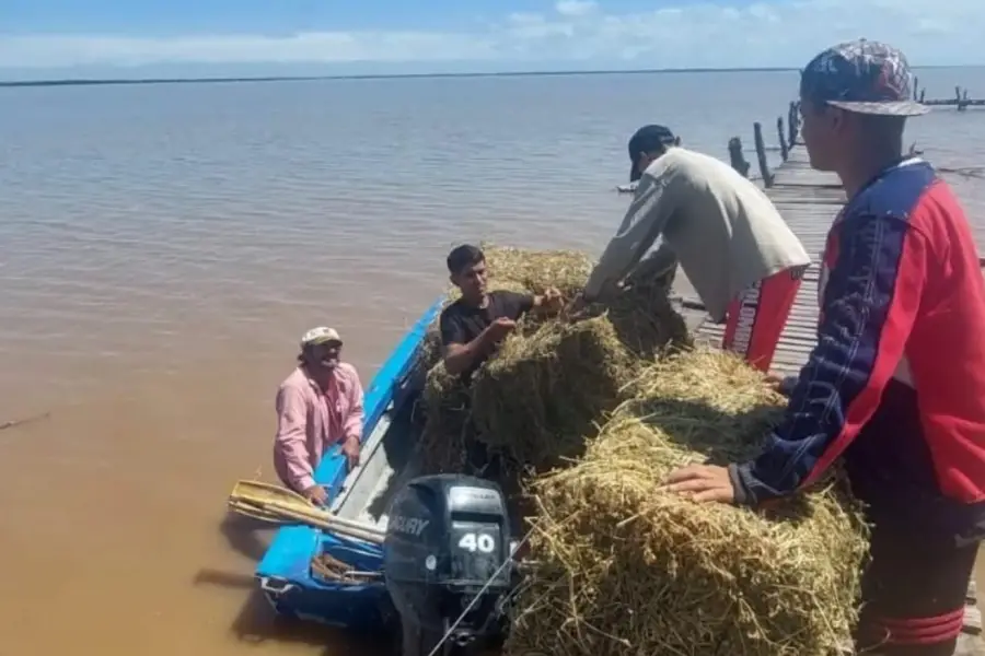 Refuerzan la entrega de alimentos y atención veterinaria en zonas afectadas por las tormentas