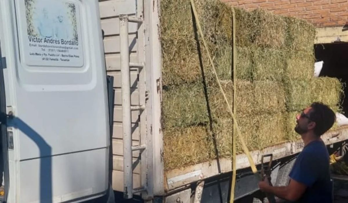 Refuerzan la entrega de alimentos y atención veterinaria en zonas afectadas por las tormentas