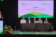 Sector sucroalcoholero: Reunión Anual de la Sociedad Argentina de Técnicos de la Caña de Azúcar