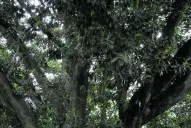 Recuerdos fotográficos: La estatua “Parábola” se ha quedado sin cobijo
