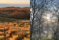 Cómo llegar a Puesto La Lagunita: un rincón paradisíaco entre las serranías tucumanas