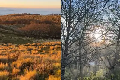 Cómo llegar a Puesto La Lagunita: un rincón paradisíaco entre las serranías tucumanas