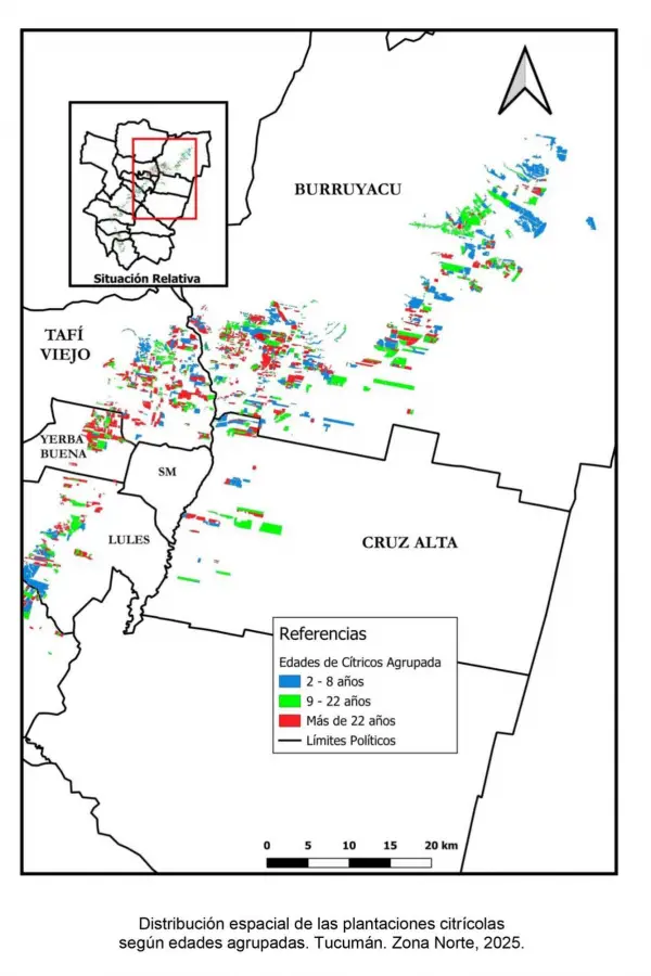 Casi el 72% de los cítricos en Tucumán se ubica en el rango que va de los dos a 22 años de edad