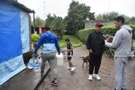 Inundaciones en Tucumán: cientos de animales atrapados y un pedido urgente de ayuda