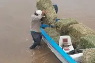 Tucumán: el Gobierno intensifica el rescate y la asistencia de animales en áreas afectadas