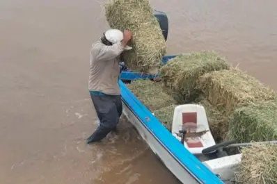 Tucumán: el Gobierno intensifica el rescate y la asistencia de animales en áreas afectadas