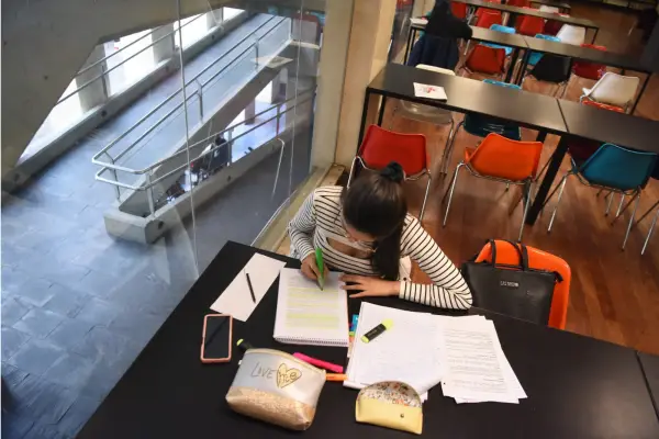 ¿Qué estudiar hoy? Entre la vocación y un mercado laboral que se transforma