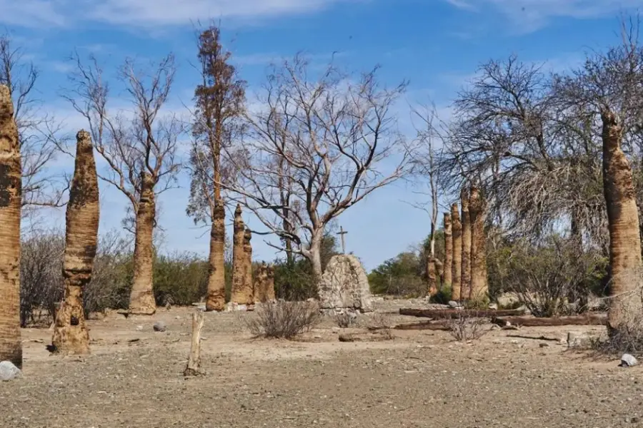 UNA CRUZ. Aún está en pie sobre una gruta, entre árboles secos.