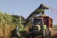 Las amenazas que acechan a la nueva temporada azucarera