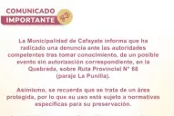 Escándalo en Salta: el casamiento en la Quebrada de las Conchas que terminó en denuncia penal