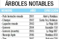 La madre que plantó un árbol para que el recuerdo de su hijo siga creciendo