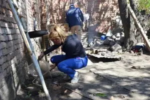 Aumentan los casos de chikungunya: síntomas y recomendaciones sobre la enfermedad