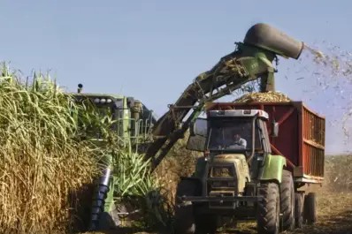 Las amenazas que acechan a la nueva temporada azucarera