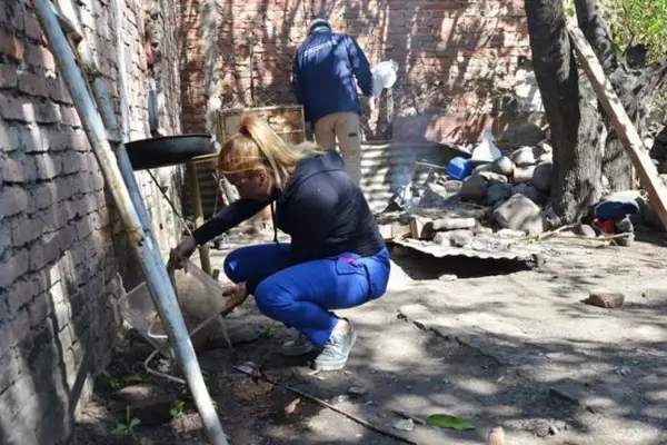 Aumentan los casos de chikungunya: síntomas y recomendaciones sobre la enfermedad