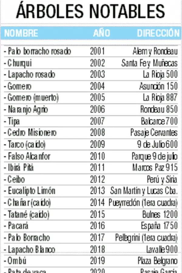 La madre que plantó un árbol para que el recuerdo de su hijo siga creciendo