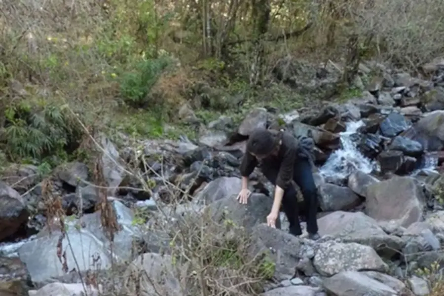 Una de las fotos recuperadas de la cámara