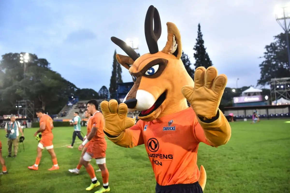 Postales del partido