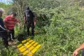 Operativo Lapacho: secuestran 25 kilos de cocaína en Tucumán y buscan a dos sospechosos