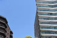 La madre que plantó un árbol para que el recuerdo de su hijo siga creciendo