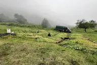 Investigaciones abiertas: dudas sobre el origen de la marihuana que se trafica en la región