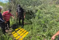 Operativo Lapacho: secuestran 25 kilos de cocaína en Tucumán y buscan a dos sospechosos