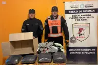 Investigaciones abiertas: dudas sobre el origen de la marihuana que se trafica en la región