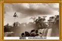 Recuerdos fotográficos: 1952. Acróbatas alemanes en Tucumán