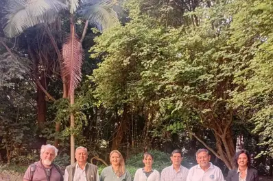 Por qué la quinoa podría ser una solución alimenticia pensada fuera de la Tierra