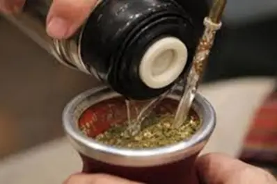 Venta de yerba mate cae 9% en febrero y registra el peor nivel de los últimos cinco años