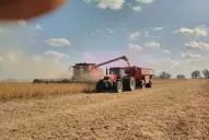 El 62,5% de la renta agrícola se queda en impuestos