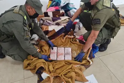 Tucumán se aleja en la cima del ranking de secuestro de marihuana en el NOA