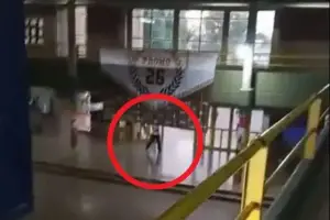 Una tragedia insoportablemente absurda