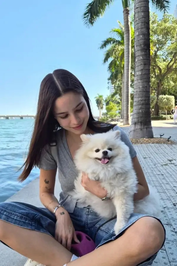 Los posteos de Emilia Mernes minutos antes del descargo de Tini en Tucumán