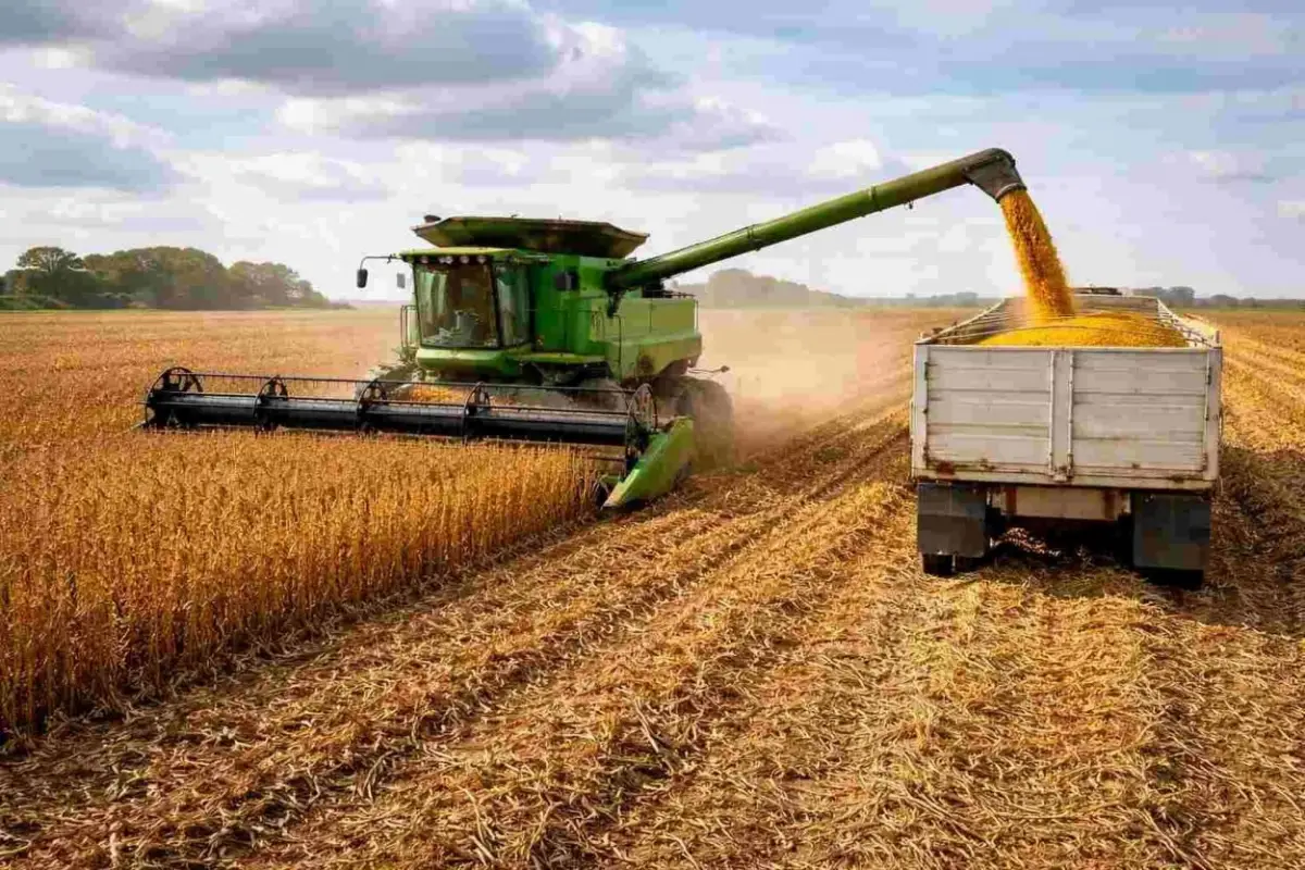 Gasoil: garantizar suministro y buen precio