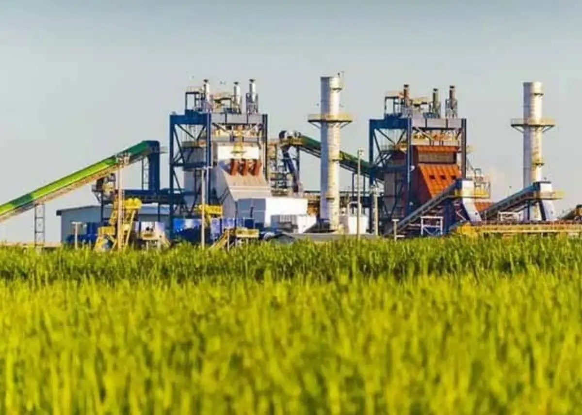 En Brasil, la caña no es solo un cultivo, sino fuente de producción energética